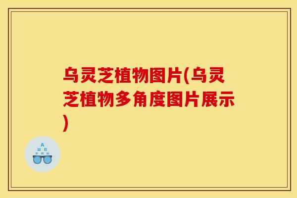 乌灵芝植物图片(乌灵芝植物多角度图片展示)