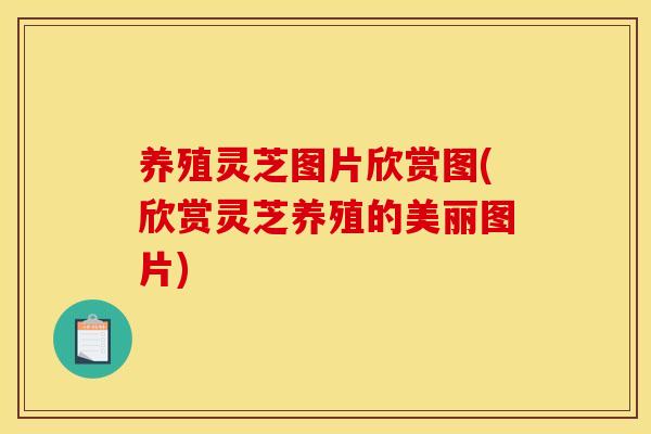 养殖灵芝图片欣赏图(欣赏灵芝养殖的美丽图片)