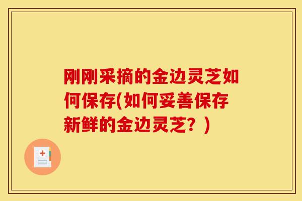 刚刚采摘的金边灵芝如何保存(如何妥善保存新鲜的金边灵芝?)