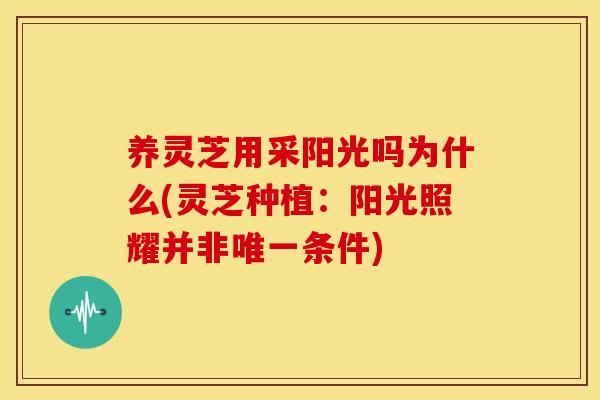 养灵芝用采阳光吗为什么(灵芝种植：阳光照耀并非唯一条件)