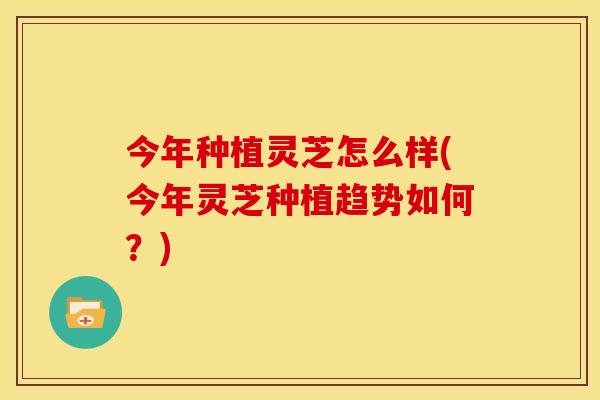 今年种植灵芝怎么样(今年灵芝种植趋势如何?)