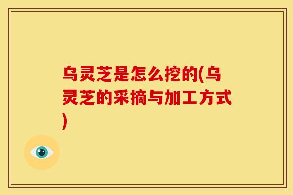 乌灵芝是怎么挖的(乌灵芝的采摘与加工方式)