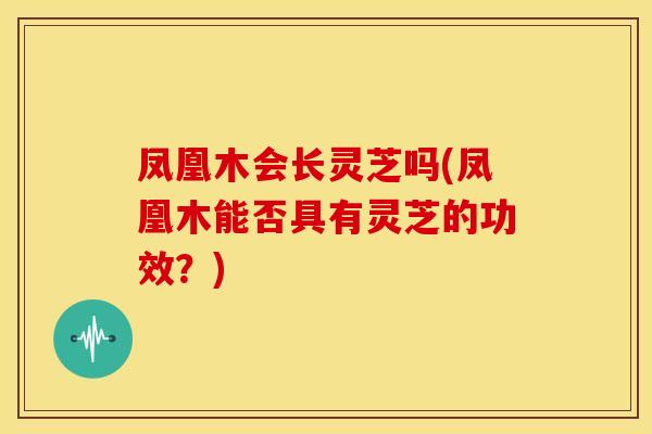 凤凰木会长灵芝吗(凤凰木能否具有灵芝的功效？)