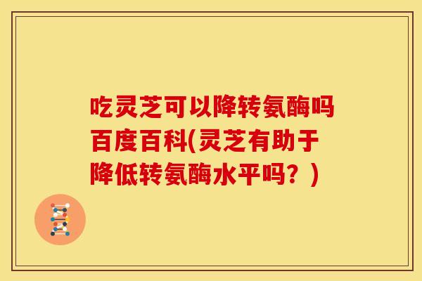 吃灵芝可以降转氨酶吗百度百科(灵芝有助于降低转氨酶水平吗?)