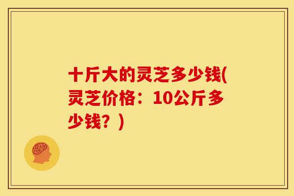 十斤大的灵芝多少钱(灵芝价格：10公斤多少钱？)