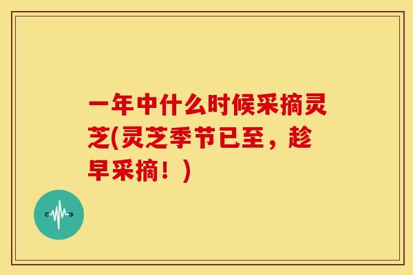 一年中什么时候采摘灵芝(灵芝季节已至,趁早采摘!)