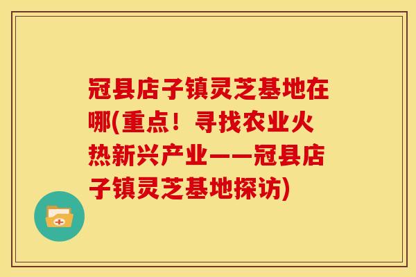 冠县店子镇灵芝基地在哪(重点!寻找农业火热新兴产业——冠县店子镇灵芝基地探访)