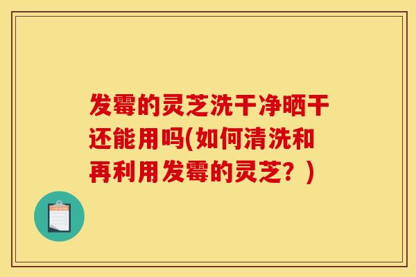 发霉的灵芝洗干净晒干还能用吗(如何清洗和再利用发霉的灵芝?)