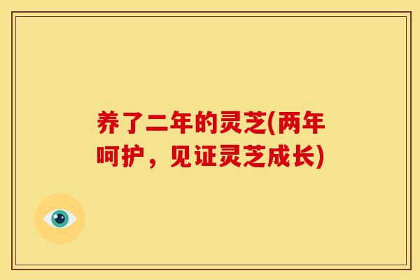 养了二年的灵芝(两年呵护，见证灵芝成长)