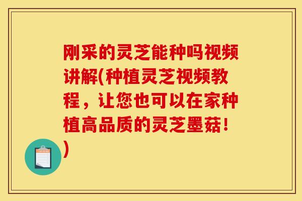 刚采的灵芝能种吗视频讲解(种植灵芝视频教程,让您也可以在家种植高品质的灵芝墨菇!)