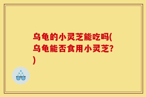 乌龟的小灵芝能吃吗(乌龟能否食用小灵芝？)