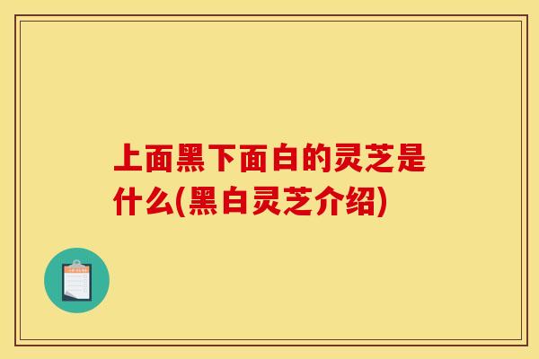 上面黑下面白的灵芝是什么(黑白灵芝介绍)