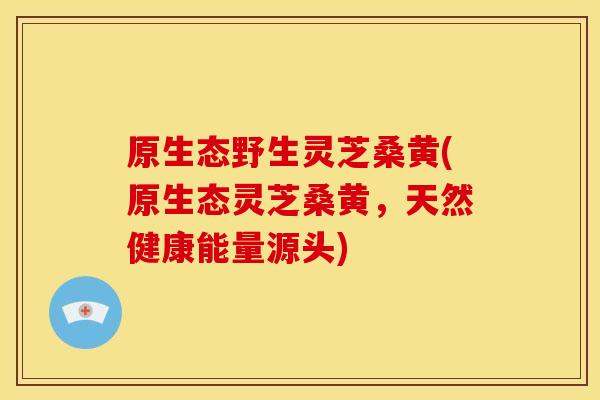 原生态野生灵芝桑黄(原生态灵芝桑黄,天然健康能量源头)