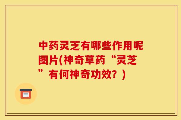 中药灵芝有哪些作用呢图片(神奇草药“灵芝”有何神奇功效?)
