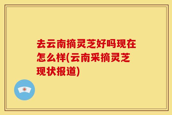 去云南摘灵芝好吗现在怎么样(云南采摘灵芝现状报道)