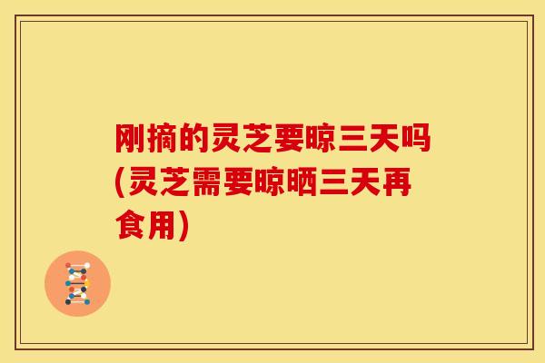 刚摘的灵芝要晾三天吗(灵芝需要晾晒三天再食用)