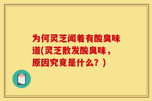 为何灵芝闻着有酸臭味道(灵芝散发酸臭味,原因究竟是什么?)