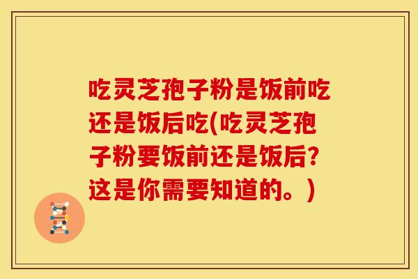 吃灵芝孢子粉是饭前吃还是饭后吃(吃灵芝孢子粉要饭前还是饭后？这是你需要知道的。)