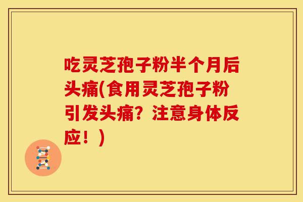 吃灵芝孢子粉半个月后头痛(食用灵芝孢子粉引发头痛？注意身体反应！)
