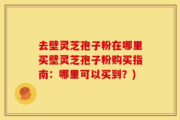 去壁灵芝孢子粉在哪里买壁灵芝孢子粉购买指南:哪里可以买到?)