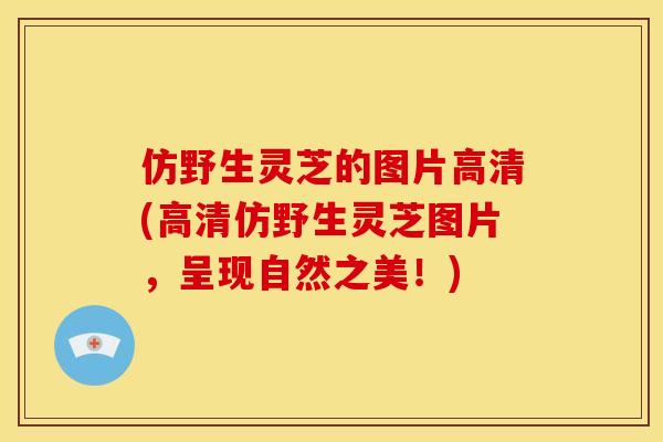 仿野生灵芝的图片高清(高清仿野生灵芝图片，呈现自然之美！)