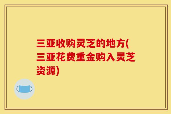 三亚收购灵芝的地方(三亚花费重金购入灵芝资源)