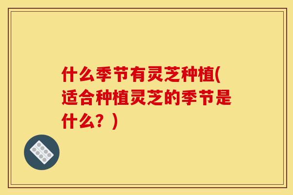 什么季节有灵芝种植(适合种植灵芝的季节是什么?)