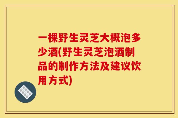 一棵野生灵芝大概泡多少酒(野生灵芝泡酒制品的制作方法及建议饮用方式)