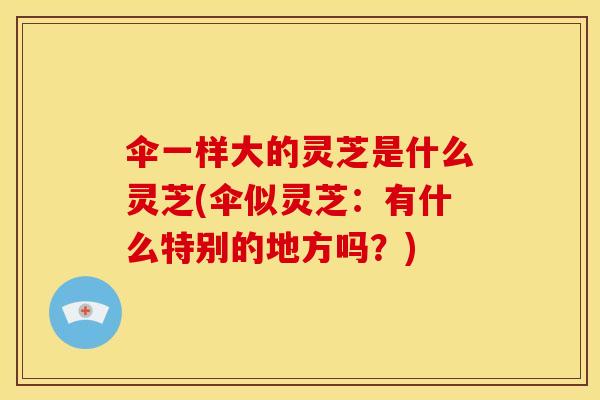 伞一样大的灵芝是什么灵芝(伞似灵芝：有什么特别的地方吗？)