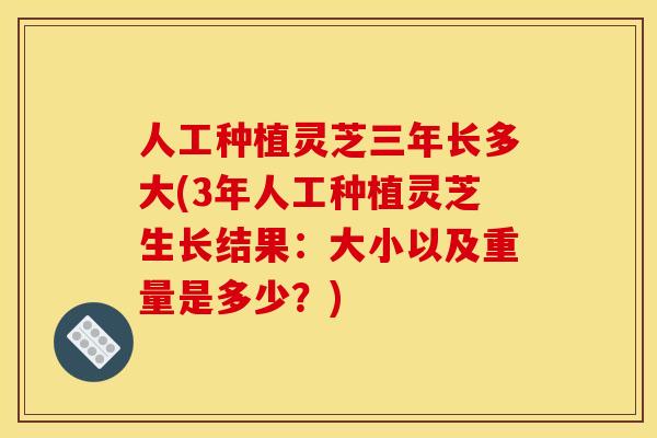 人工种植灵芝三年长多大(3年人工种植灵芝生长结果:大小以及重量是多少?)