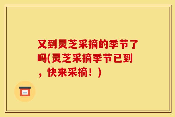 又到灵芝采摘的季节了吗(灵芝采摘季节已到，快来采摘！)