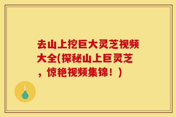 去山上挖巨大灵芝视频大全(探秘山上巨灵芝，惊艳视频集锦！)