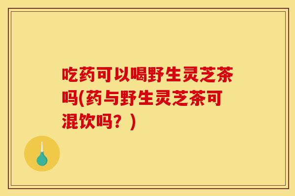 吃药可以喝野生灵芝茶吗(药与野生灵芝茶可混饮吗?)
