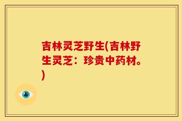 吉林灵芝野生(吉林野生灵芝:珍贵中药材。)