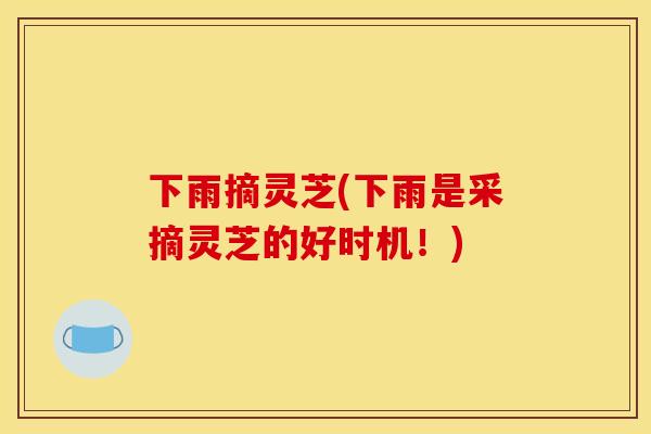 下雨摘灵芝(下雨是采摘灵芝的好时机！)