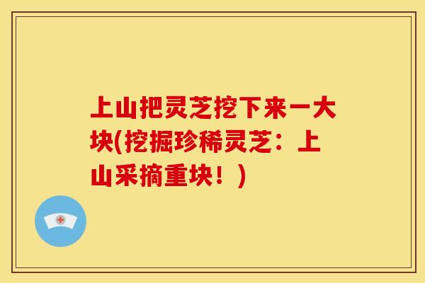 上山把灵芝挖下来一大块(挖掘珍稀灵芝:上山采摘重块!)
