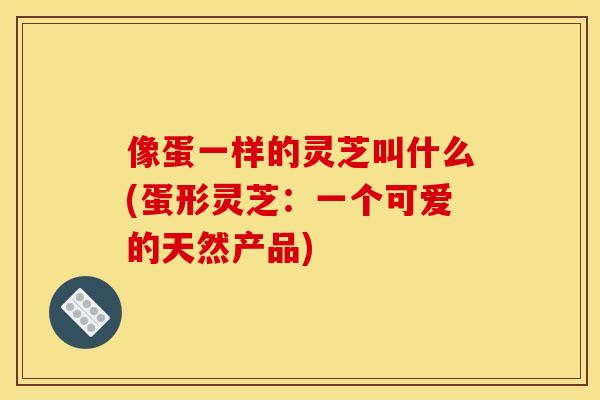 像蛋一样的灵芝叫什么(蛋形灵芝:一个可爱的天然产品)
