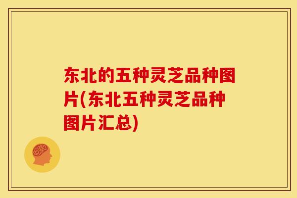 东北的五种灵芝品种图片(东北五种灵芝品种图片汇总)