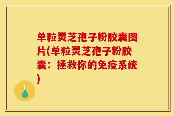 单粒灵芝孢子粉胶囊图片(单粒灵芝孢子粉胶囊：拯救你的免疫系统)