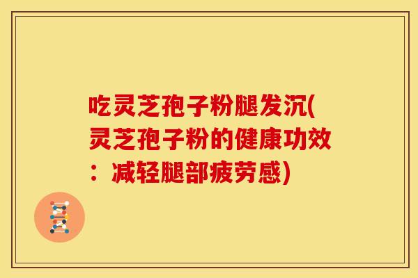 吃灵芝孢子粉腿发沉(灵芝孢子粉的健康功效：减轻腿部疲劳感)