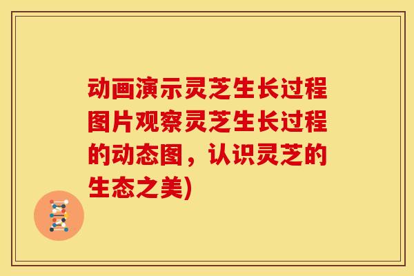 动画演示灵芝生长过程图片观察灵芝生长过程的动态图,认识灵芝的生态之美)