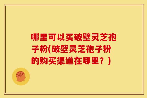 哪里可以买破壁灵芝孢子粉(破壁灵芝孢子粉的购买渠道在哪里?)