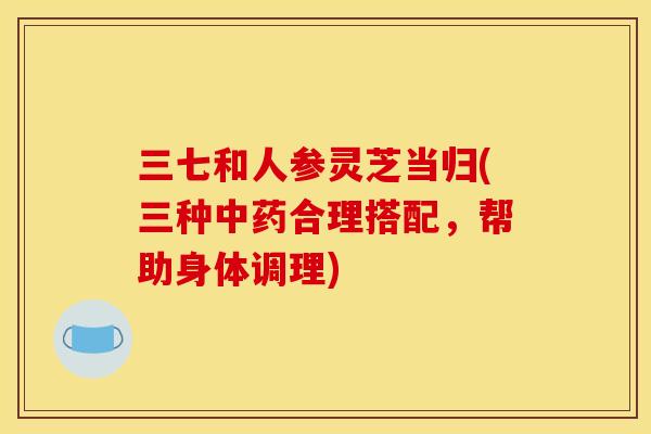 三七和人参灵芝当归(三种中药合理搭配,帮助身体调理)