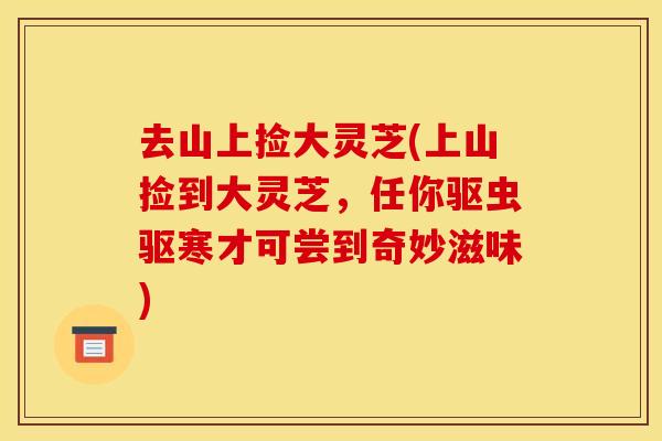 去山上捡大灵芝(上山捡到大灵芝，任你驱虫驱寒才可尝到奇妙滋味)
