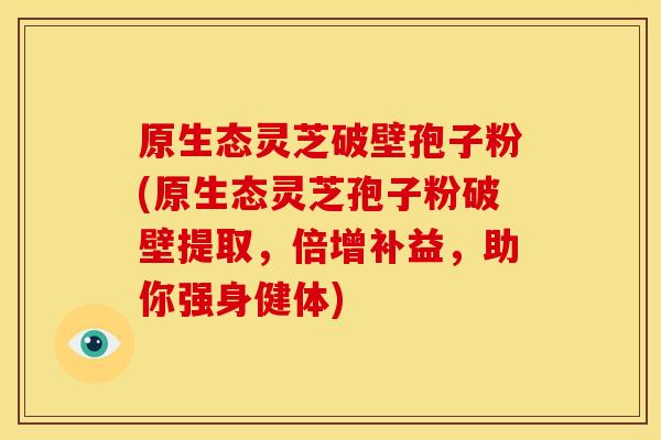 原生态灵芝破壁孢子粉(原生态灵芝孢子粉破壁提取,倍增补益,助你强身健体)