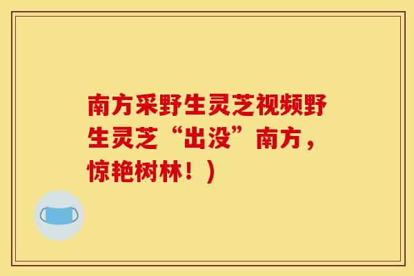 南方采野生灵芝视频野生灵芝“出没”南方,惊艳树林!)