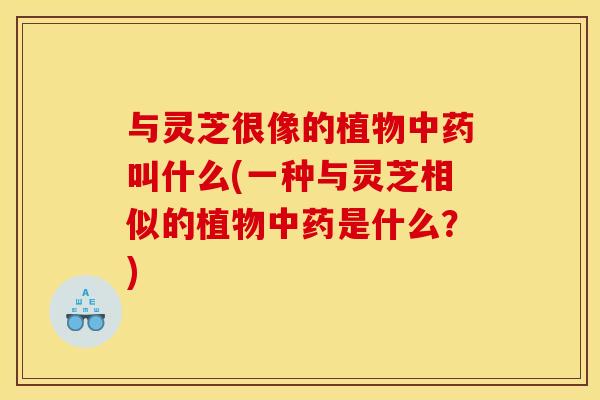 与灵芝很像的植物中药叫什么(一种与灵芝相似的植物中药是什么？)