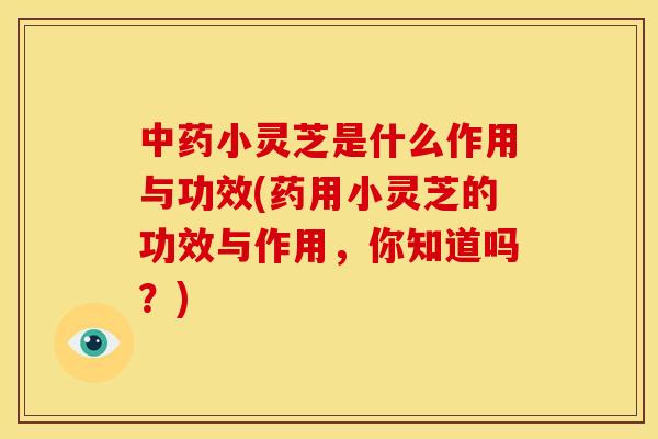 中药小灵芝是什么作用与功效(药用小灵芝的功效与作用，你知道吗？)