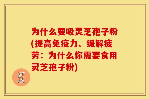 为什么要吸灵芝孢子粉(提高免疫力、缓解疲劳:为什么你需要食用灵芝孢子粉)