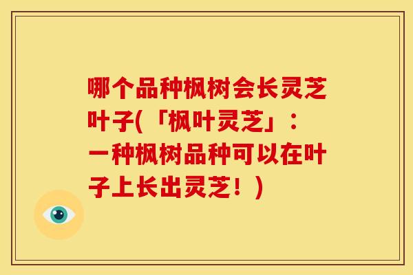 哪个品种枫树会长灵芝叶子(「枫叶灵芝」:一种枫树品种可以在叶子上长出灵芝!)